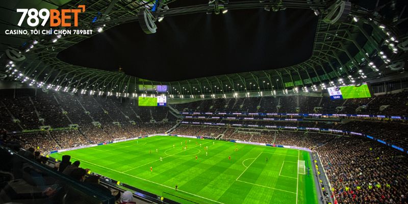 Hội viên cần nắm bắt thông tin để cá cược bóng đá