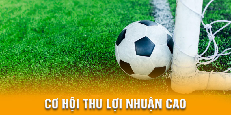 Hội viên cần phẩn bổ vốn cược chuẩn khi thắng cược