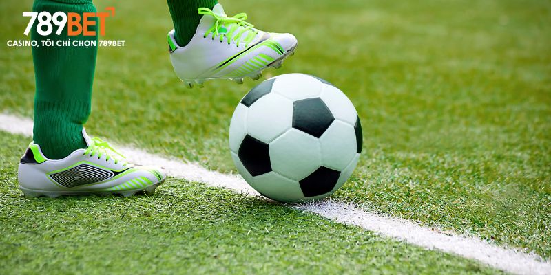 Thống kê sơ lược là rất quan trọng khi cược kèo